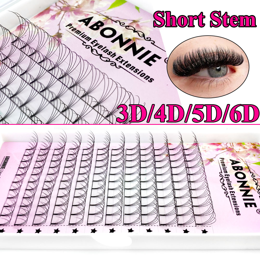 Abonnie 6D Dar Yelpaze Önceden - Lash Fan Volume incelemesi ve fiyatı